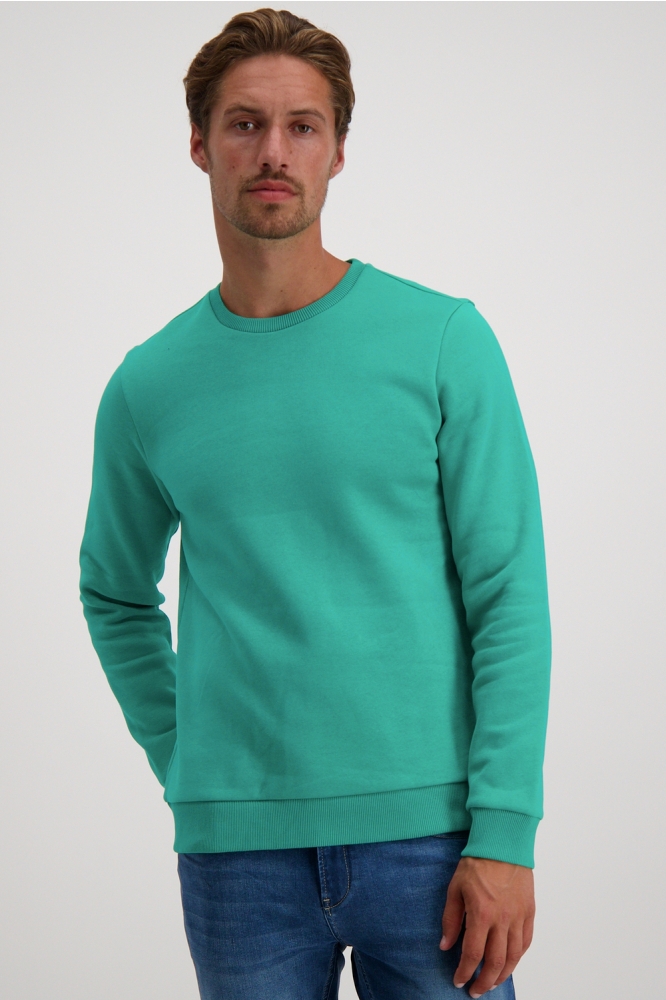 KREYAM SW 69746 Light Green